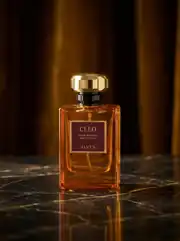 CLEO 1